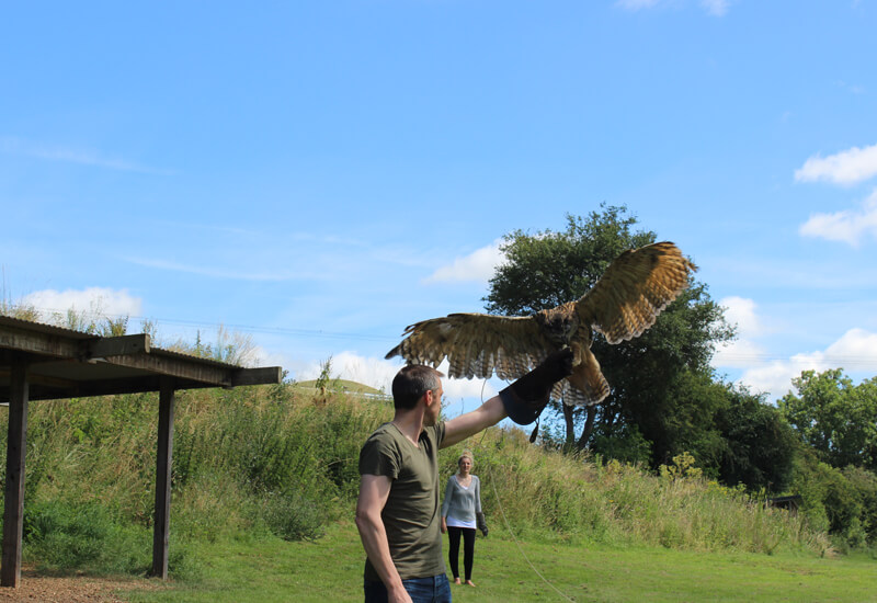 Simon Tebbutt Falconry school visits and educational talks